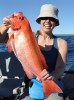 Fiona's first crimson seaperch - Great weekend in Exxy